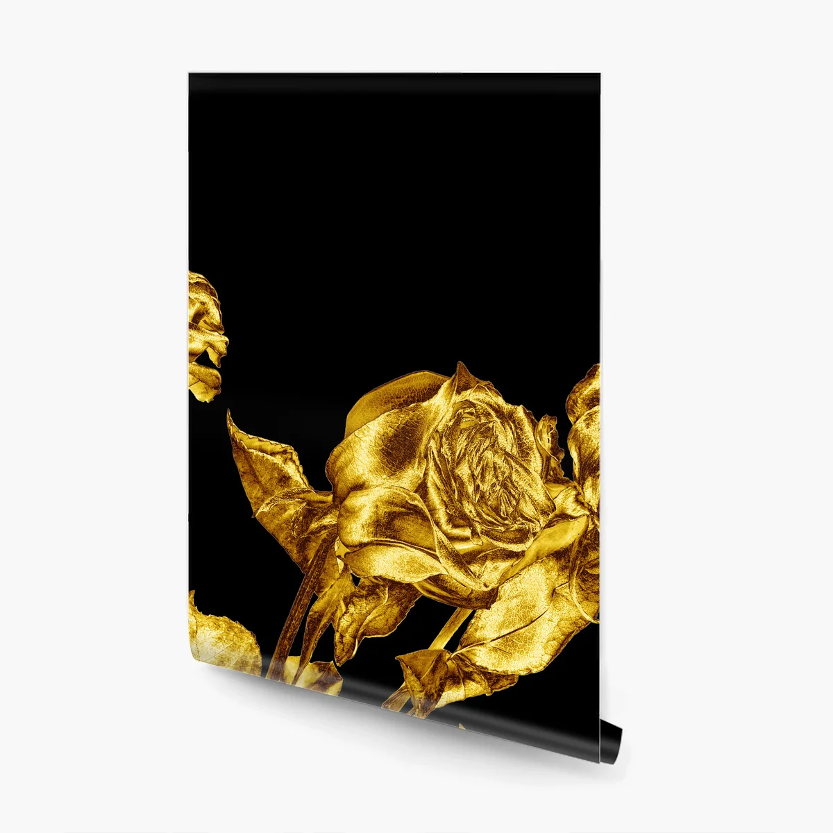 Fototapete goldene rosen vor schwarzem hintergrund Fototapete goldene rosen vor schwarzem hintergrund