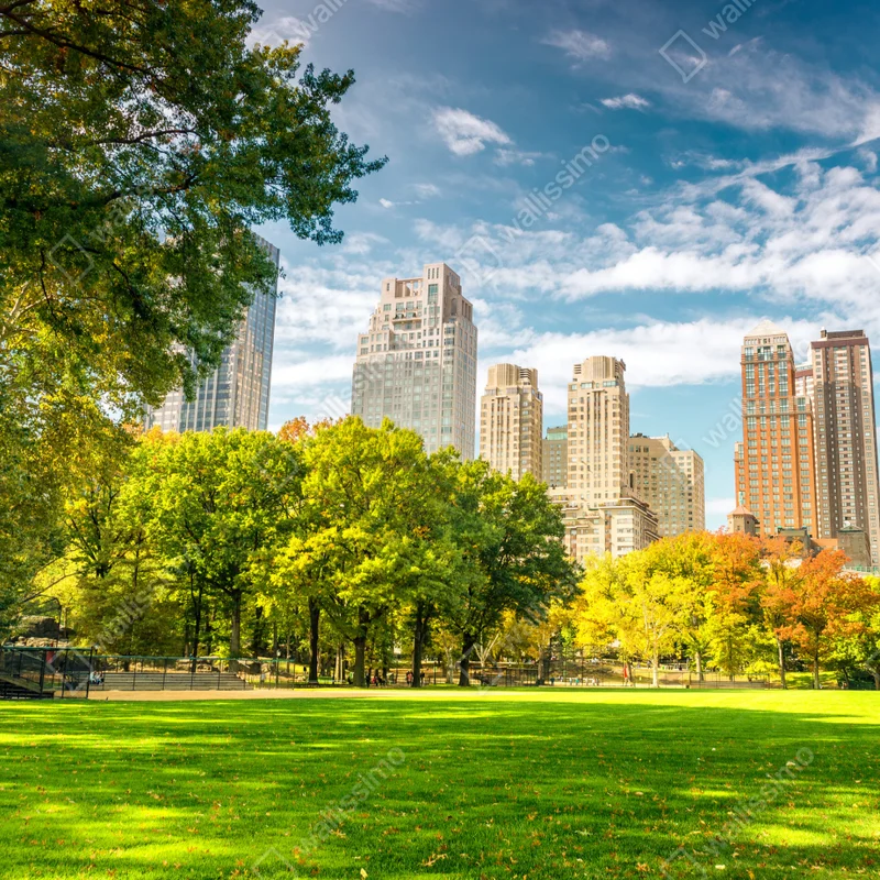Laptop-Aufkleber Central Park herbst panorama Laptop-Aufkleber Central Park herbst panorama