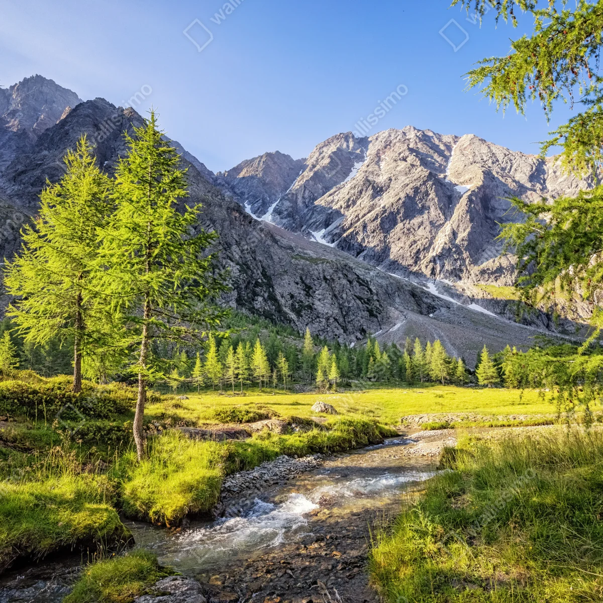 Leinwandbild alpine wiese mit bergbach Leinwandbild alpine wiese mit bergbach