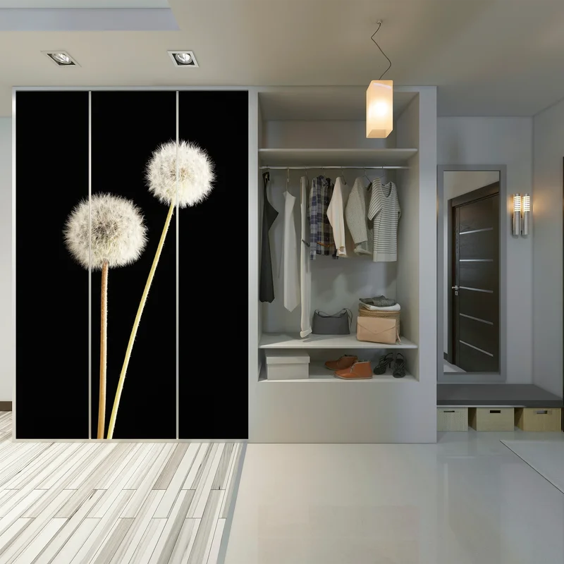 Schrankaufkleber zarte löwenzahnsamen auf schwarzem hintergrund