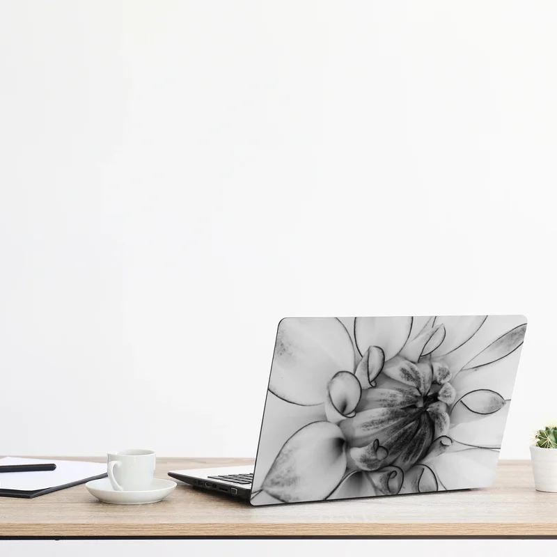 Naklejka na laptopa monochromatyczne zbliżenie dalii