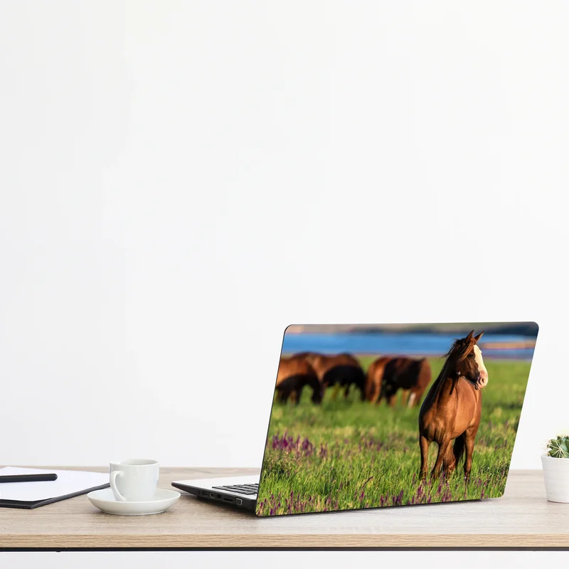 Naklejka na laptopa majestatyczny brązowy koń na słonecznej łące