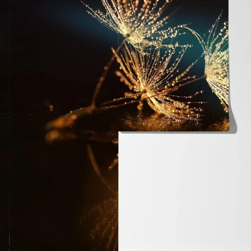 Fototapete goldene reflexion von löwenzahnsamen Fototapete goldene reflexion von löwenzahnsamen