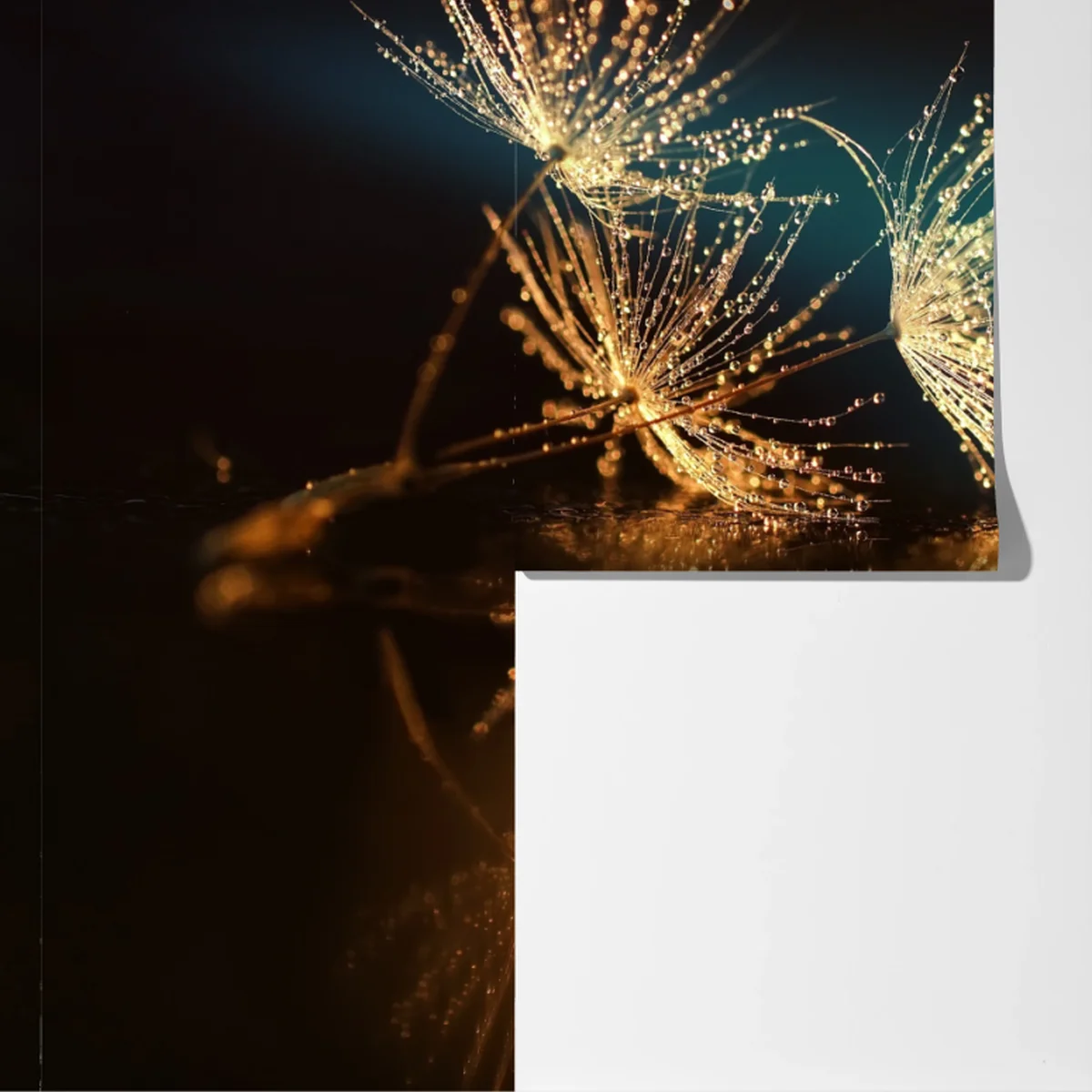 Fototapete goldene reflexion von löwenzahnsamen Fototapete goldene reflexion von löwenzahnsamen