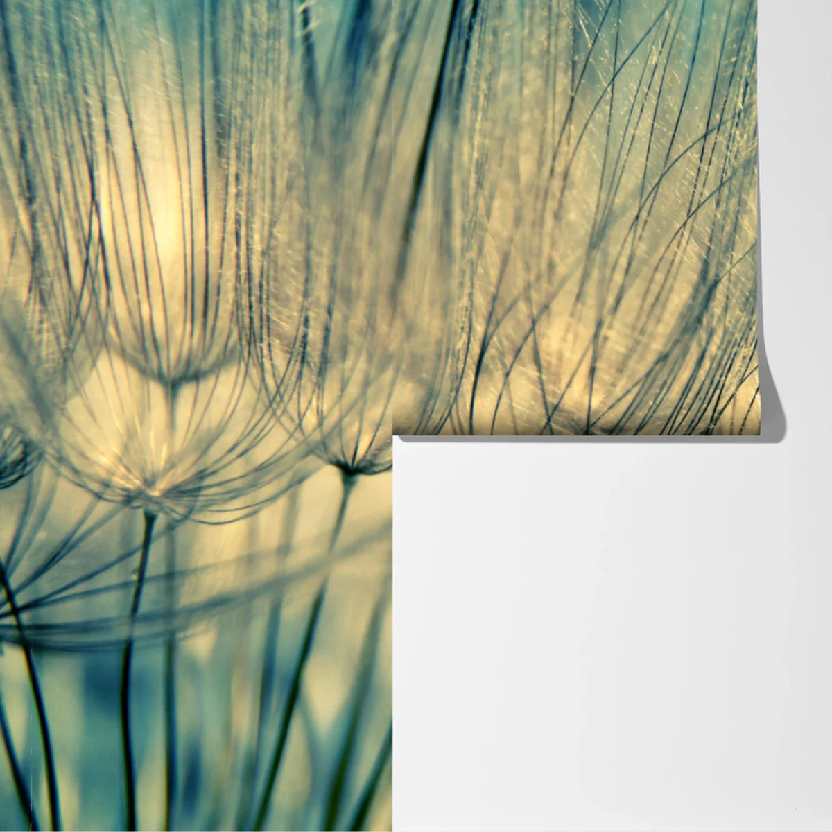 Fototapete zarte löwenzahn-aufnahme in sanftem blau Fototapete zarte löwenzahn-aufnahme in sanftem blau