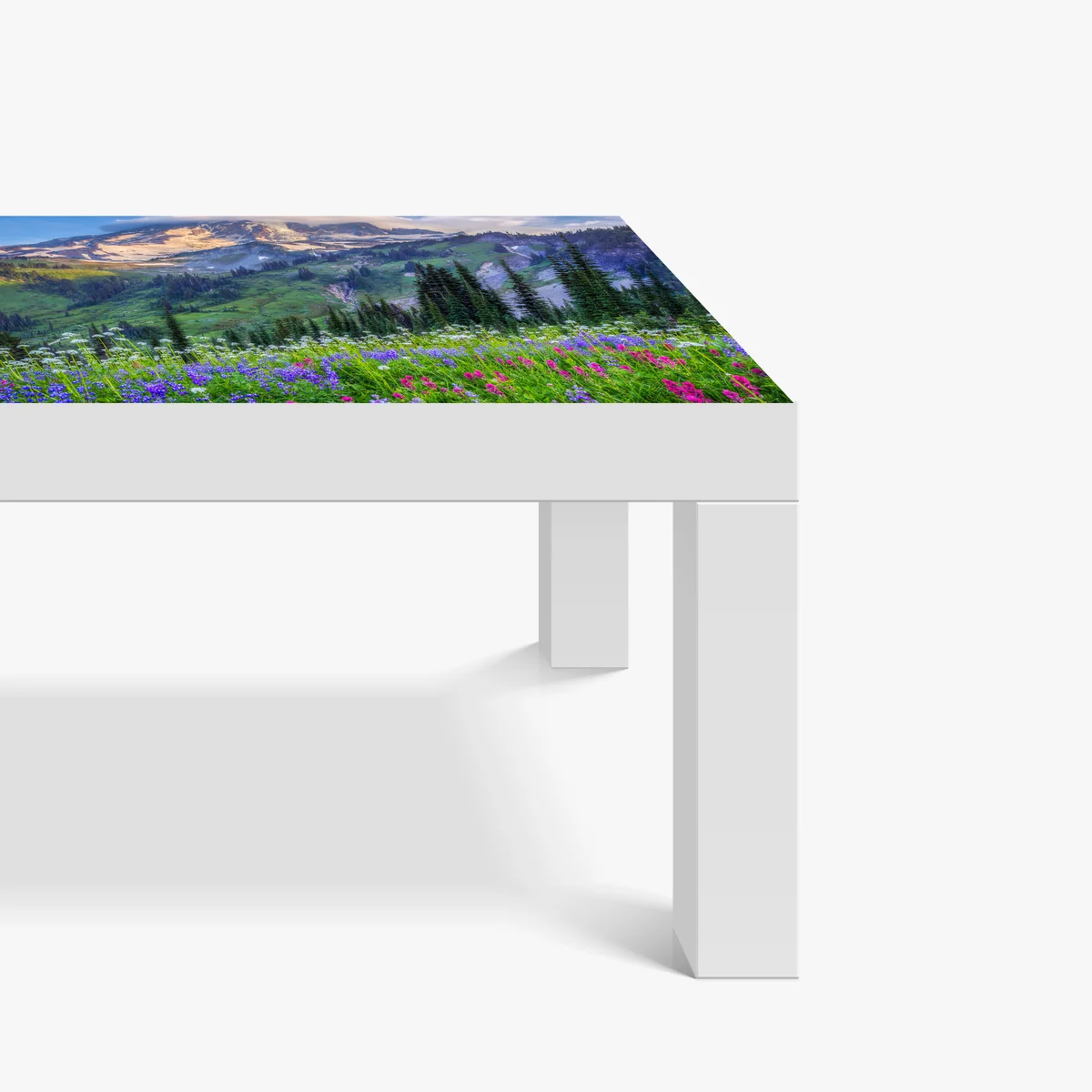 Tischaufkleber und Schreibtischaufkleber alpine blumenwiese vor schneebedeckten bergen Tischaufkleber und Schreibtischaufkleber alpine blumenwiese vor schneebedeckten bergen