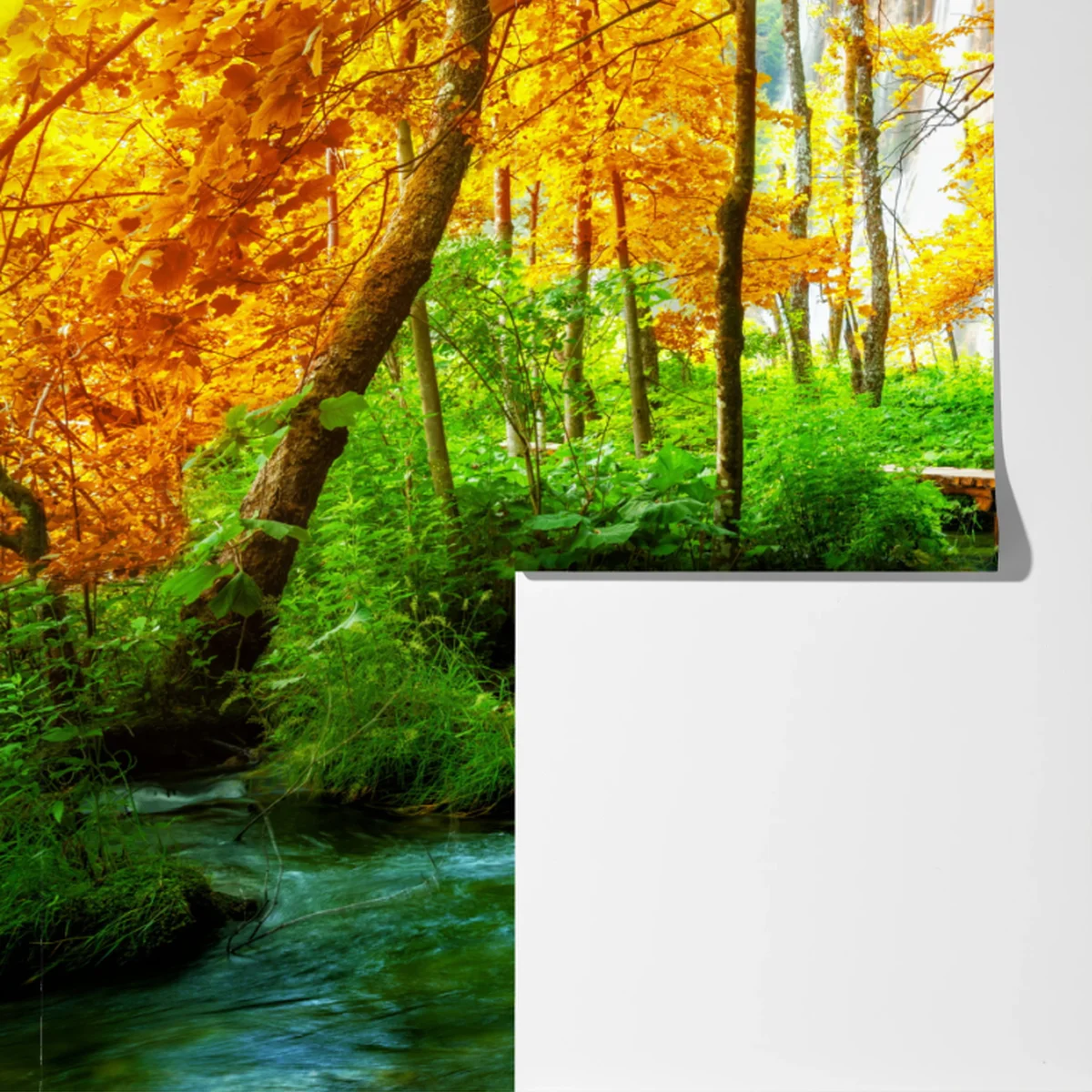 Fototapete goldener steg durch den wald bei Plitvicer Seen Fototapete goldener steg durch den wald bei Plitvicer Seen