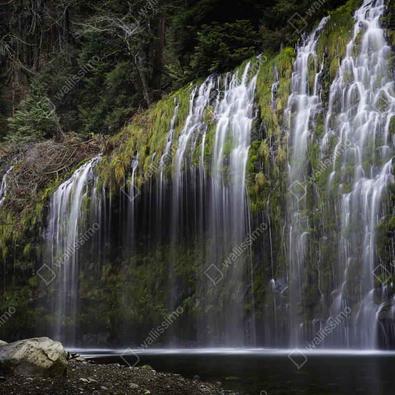 Fototapete moosiger wasserfall im wald Fototapete moosiger wasserfall im wald