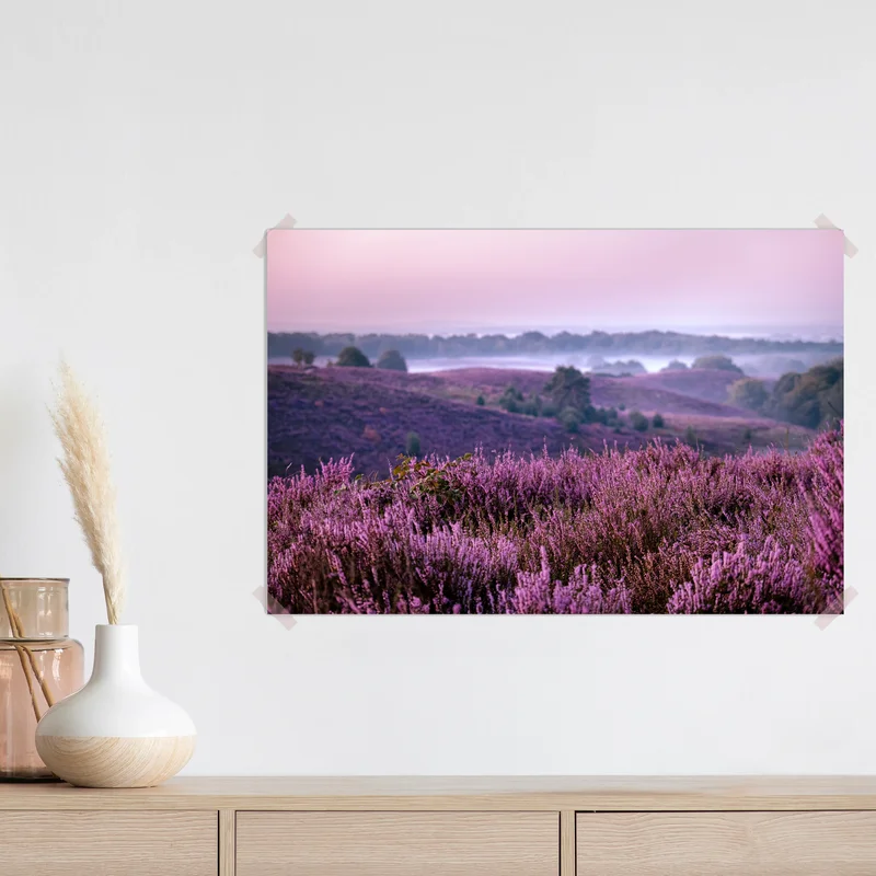 Poster lila heidelandschaft bei dämmerung • Poster bei Wallnifity® Poster lila heidelandschaft bei dämmerung • Poster bei Wallnifity®
