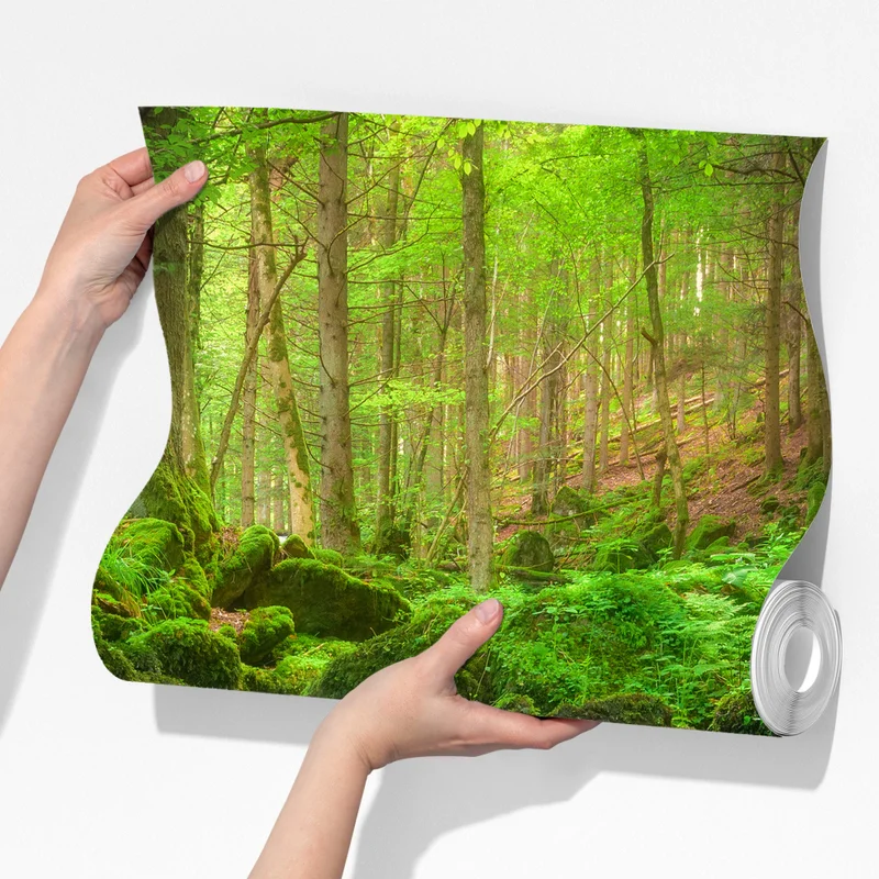 Fototapeta spokojny mechowy wodospad w lesie Fototapeta spokojny mechowy wodospad w lesie