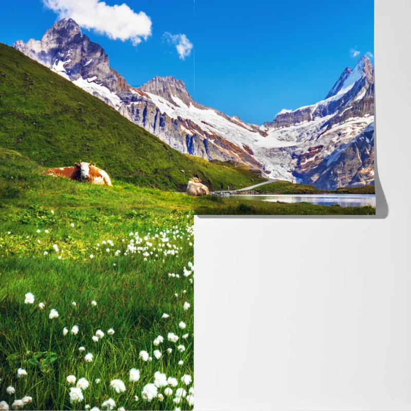 Fototapete alpensee mit blumenwiese und berggipfeln Fototapete alpensee mit blumenwiese und berggipfeln