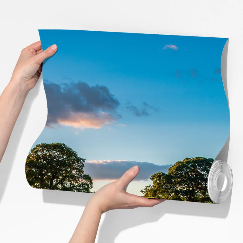 Fototapeta pole czerwonych maków koło Corbridge Fototapeta pole czerwonych maków koło Corbridge