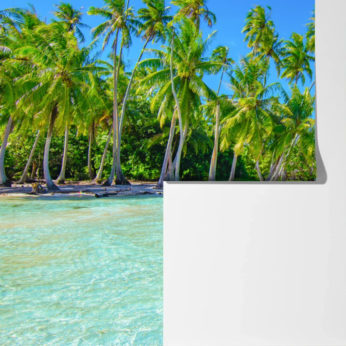 Fototapeta tropikalna plaża z palmami Fototapeta tropikalna plaża z palmami