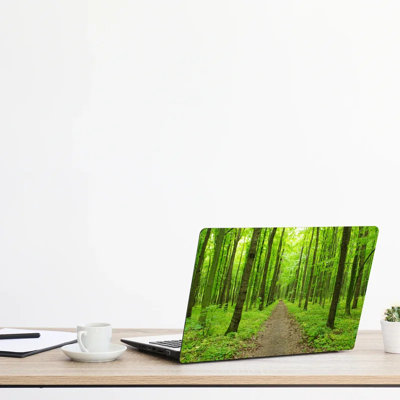 Naklejka na laptopa spokojna zielona ścieżka w lesie