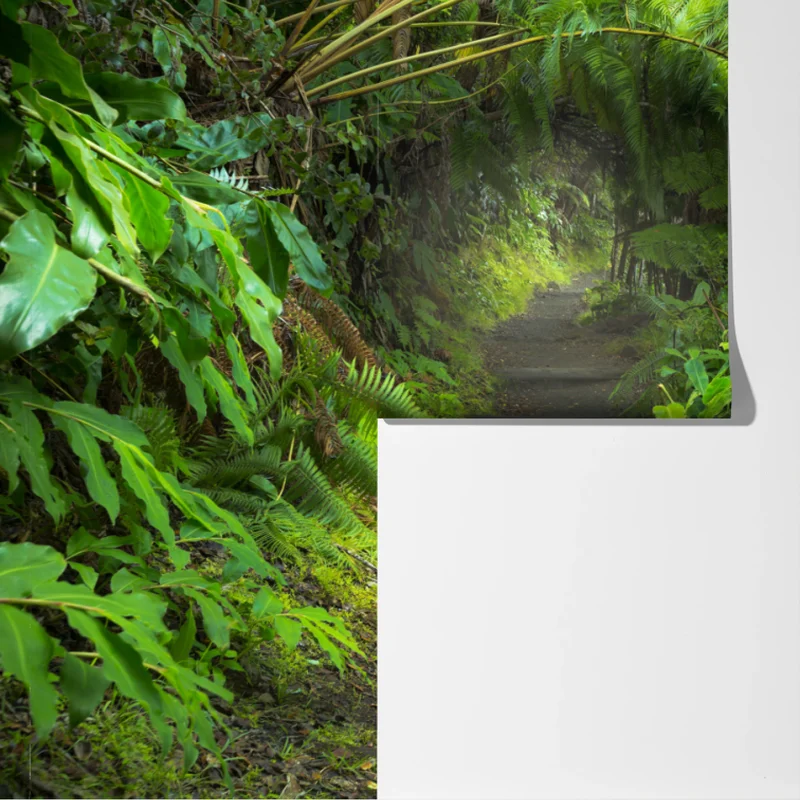 Fototapeta bujny las deszczowy na szlaku Kilauea Iki, Hawaje Fototapeta bujny las deszczowy na szlaku Kilauea Iki, Hawaje