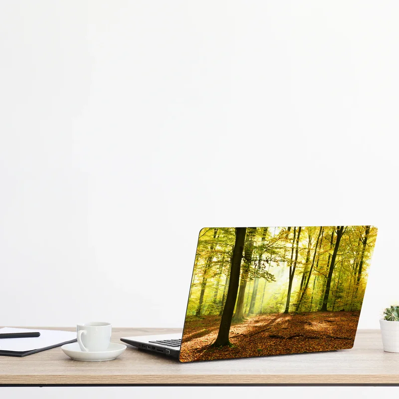 Laptop-Aufkleber goldener herbstwald am morgen Laptop-Aufkleber goldener herbstwald am morgen