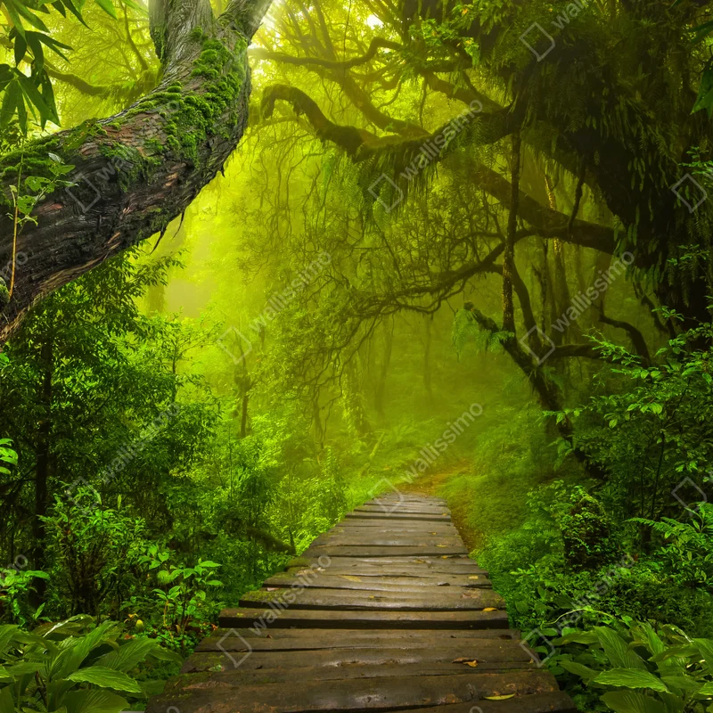 Laptop-Aufkleber mystischer grüner waldpfad Laptop-Aufkleber mystischer grüner waldpfad