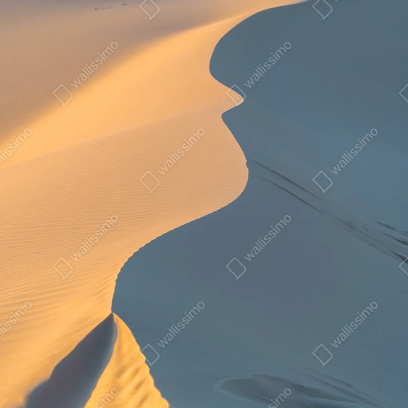 Poster goldene dünenkurven Poster goldene dünenkurven