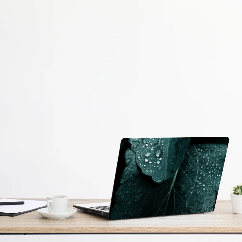 Laptop-Aufkleber tautropfen auf blättern Laptop-Aufkleber tautropfen auf blättern