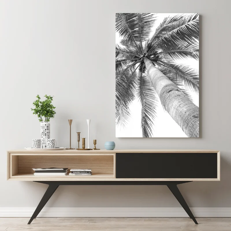 Leinwandbild monochrome palme aus der froschperspektive Leinwandbild monochrome palme aus der froschperspektive
