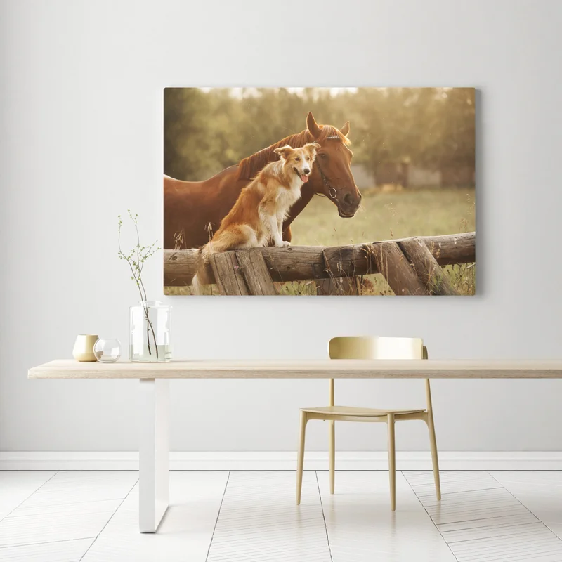 Leinwandbild sonnige gefährten: hund und pferd Leinwandbild sonnige gefährten: hund und pferd