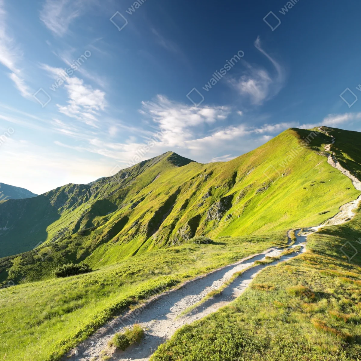 Leinwandbild sonnenbeschienener berggrat mit pfad Leinwandbild sonnenbeschienener berggrat mit pfad