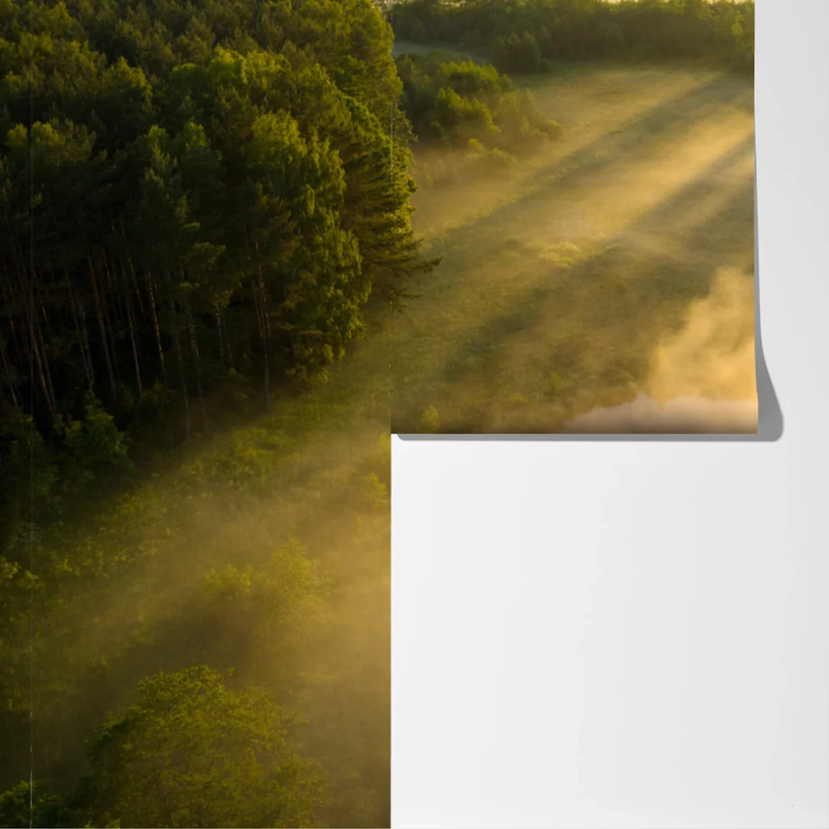 Fototapeta złote poranne światło nad mglistą rzeką Fototapeta złote poranne światło nad mglistą rzeką