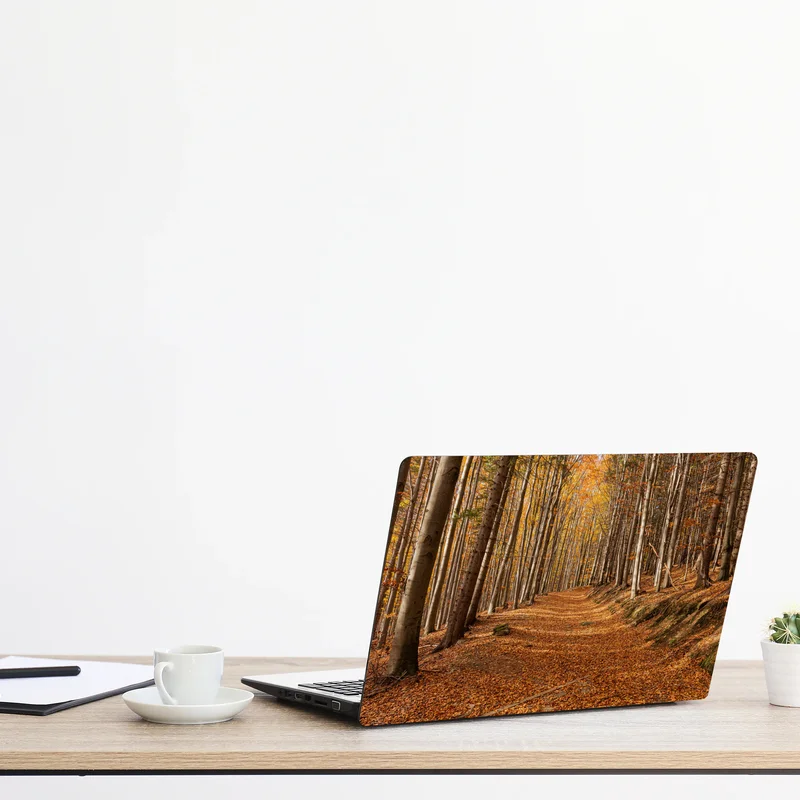 Laptop-Aufkleber herbstlicher waldweg mit goldenen blättern