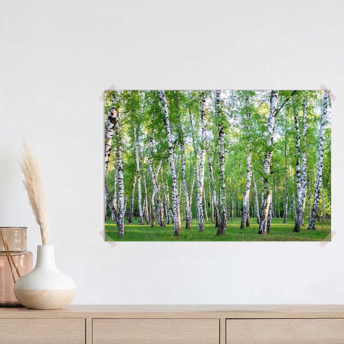 Poster ruhiger birkenhain im sommer Poster ruhiger birkenhain im sommer