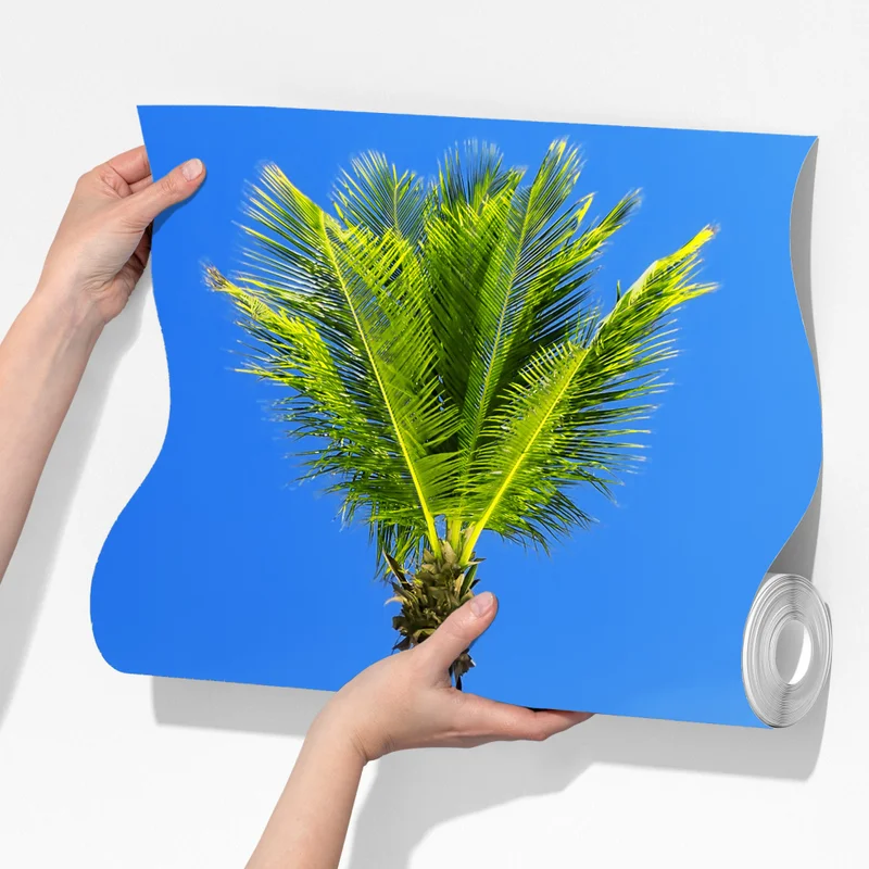 Fototapete ruhiger strand in Cap Cana, Dominikanische Republik Fototapete ruhiger strand in Cap Cana, Dominikanische Republik