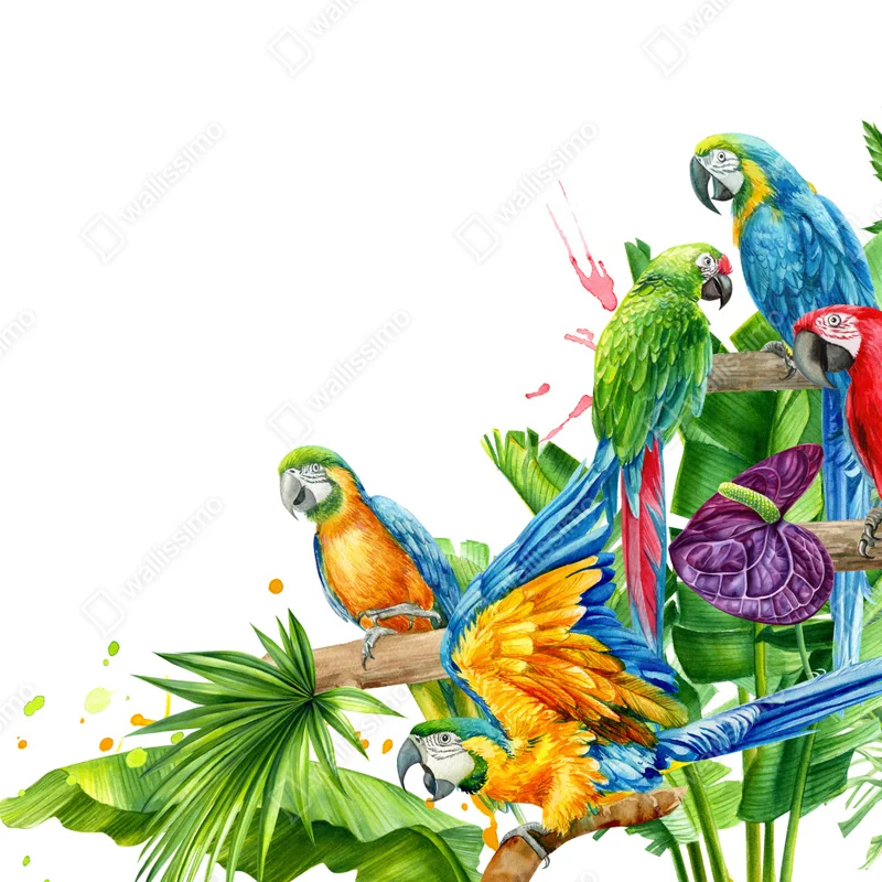 Poster farbenfrohe tropische aras illustration • Poster bei Wallnifity® Poster farbenfrohe tropische aras illustration • Poster bei Wallnifity®