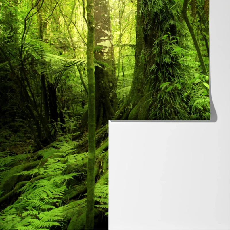 Fototapete üppiger tropischer dschungel Fototapete üppiger tropischer dschungel