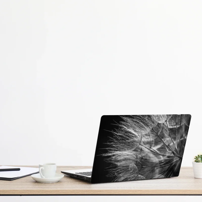 Laptop-Aufkleber zarter löwenzahn in monochrom