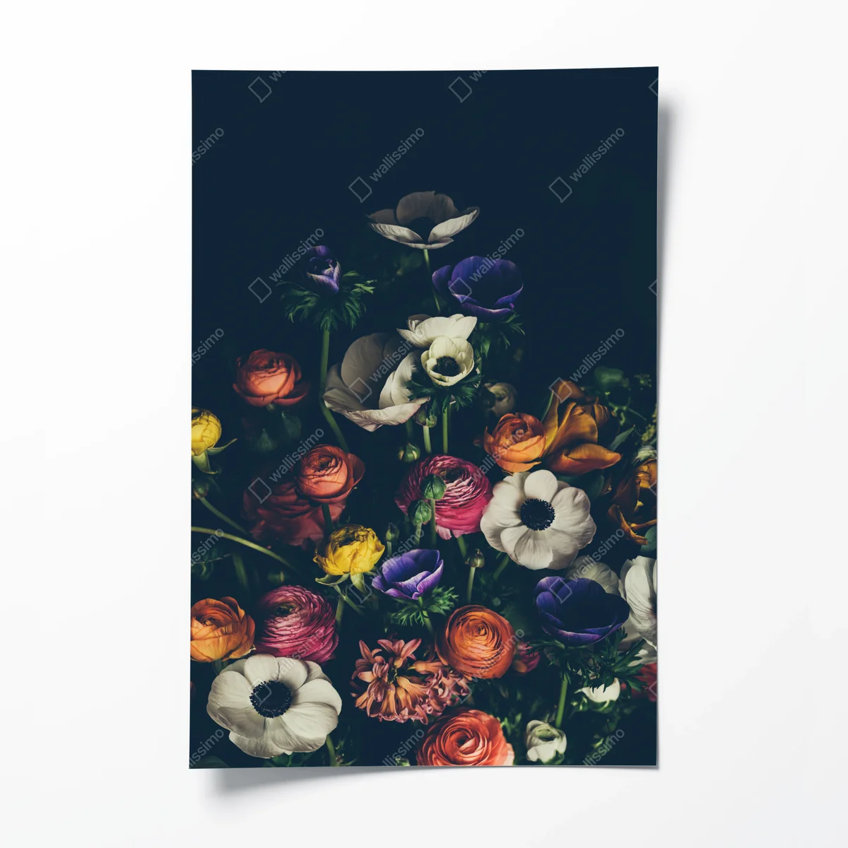 Poster stimmungsvolles dunkles blumenbouquet • Poster bei Wallnifity® Poster stimmungsvolles dunkles blumenbouquet • Poster bei Wallnifity®