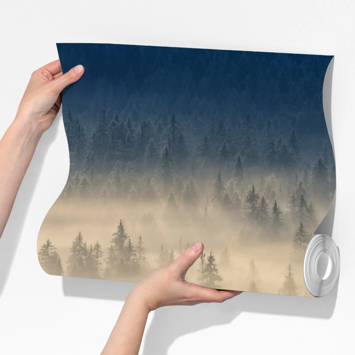 Fototapeta mglista dolina świerków o świcie Fototapeta mglista dolina świerków o świcie