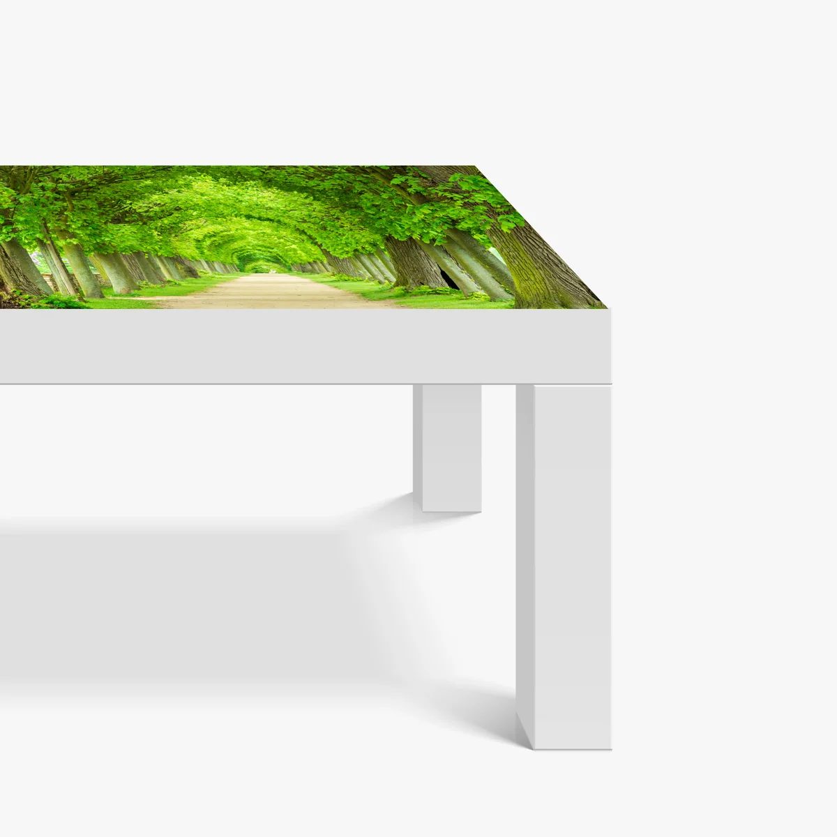 Tischaufkleber und Schreibtischaufkleber grüner baumtunnel Tischaufkleber und Schreibtischaufkleber grüner baumtunnel
