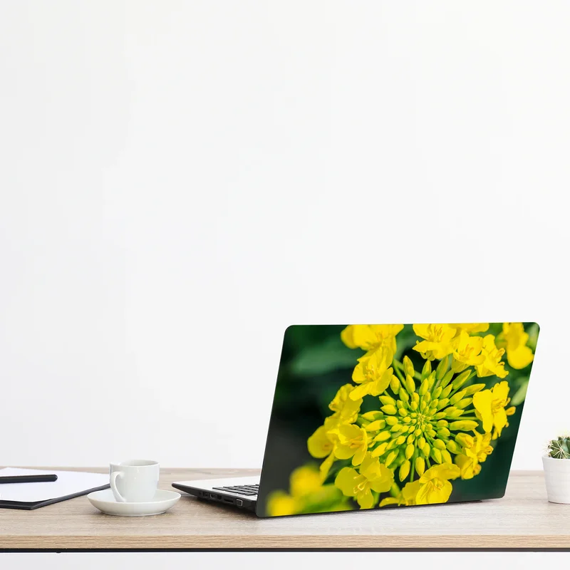 Laptop-Aufkleber lebhafte gelbe rapsblüte im nahen makro Laptop-Aufkleber lebhafte gelbe rapsblüte im nahen makro