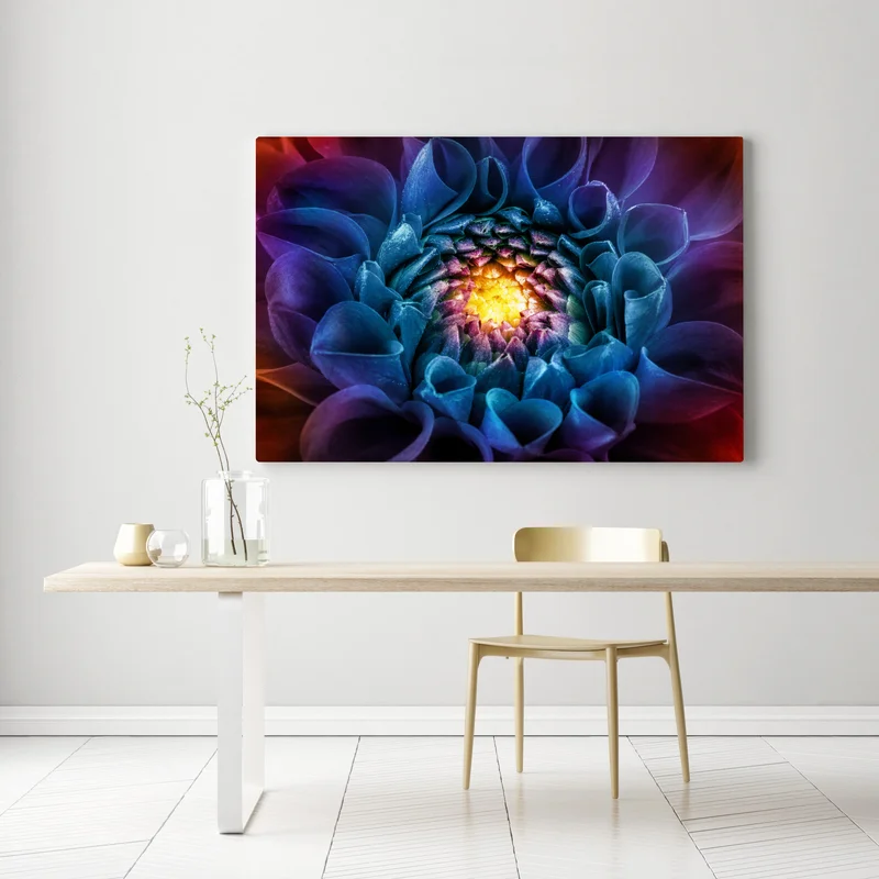 Leinwandbild leuchtende blaue chrysantheme nahaufnahme Leinwandbild leuchtende blaue chrysantheme nahaufnahme