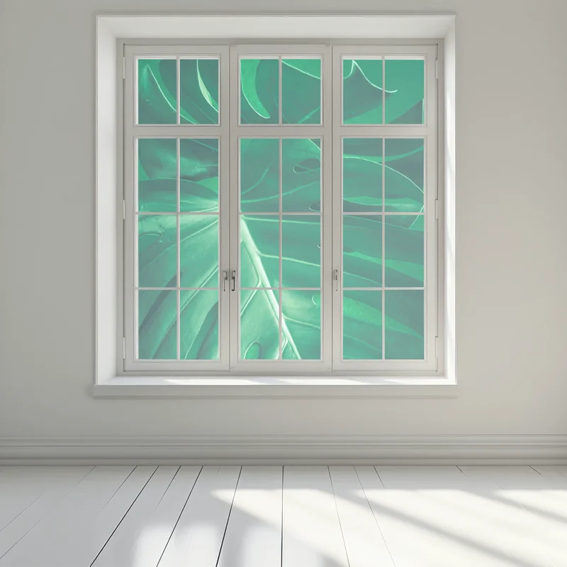 Fensteraufkleber prächtiges monstera-blatt nahaufnahme