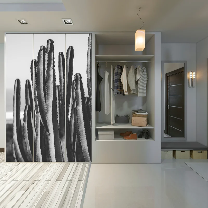 Schrankaufkleber schwarzweiß kaktus nahaufnahme