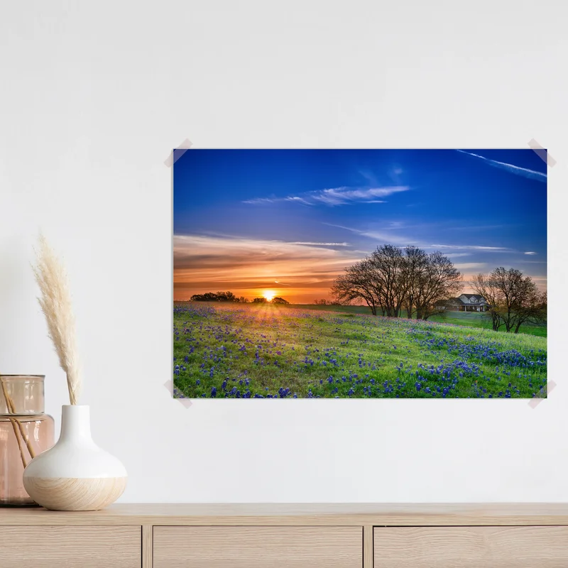 Poster Texas wiese mit bluebonnets im sonnenaufgang Poster Texas wiese mit bluebonnets im sonnenaufgang