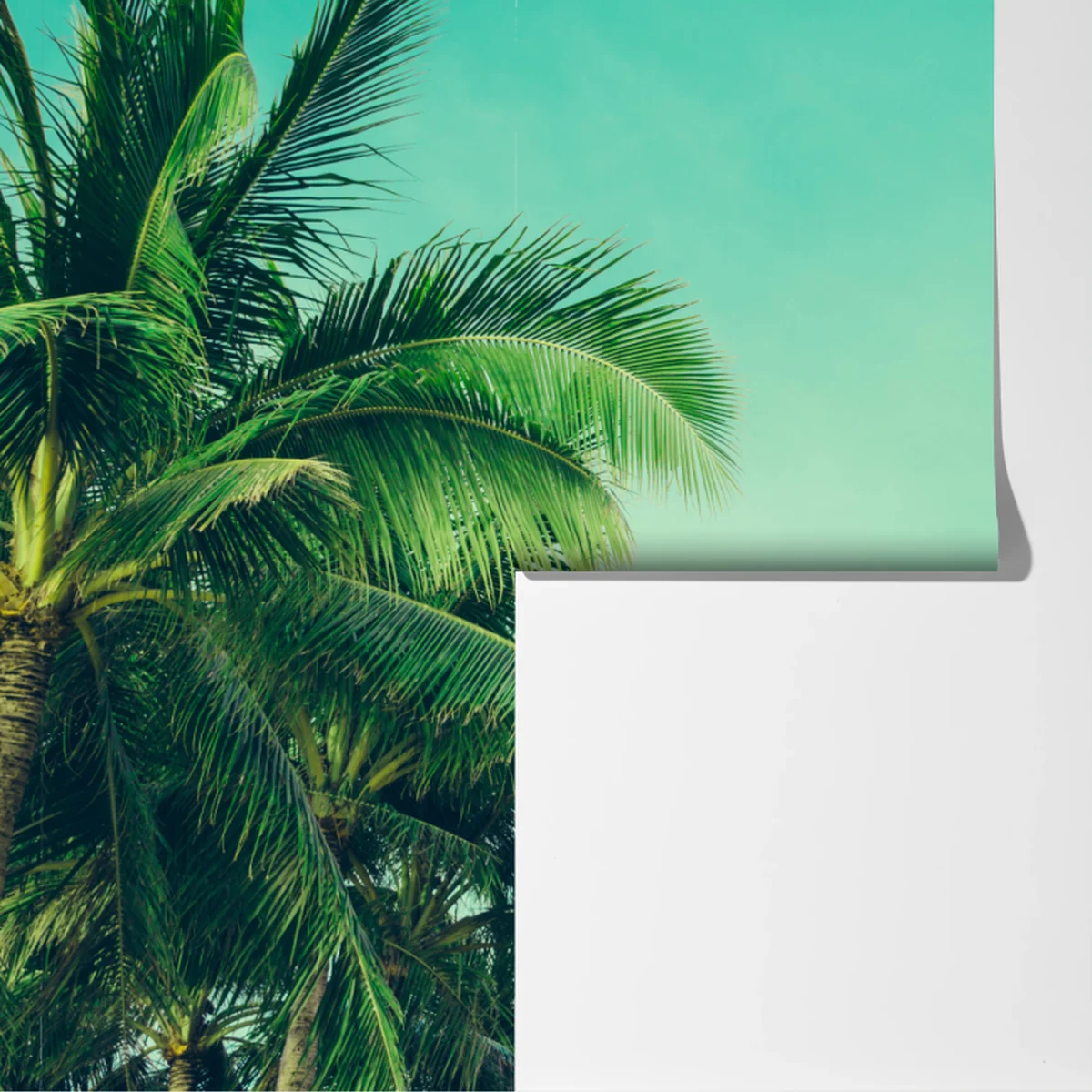 Fototapeta tropikalny baldachim palm pod turkusowym niebem Fototapeta tropikalny baldachim palm pod turkusowym niebem