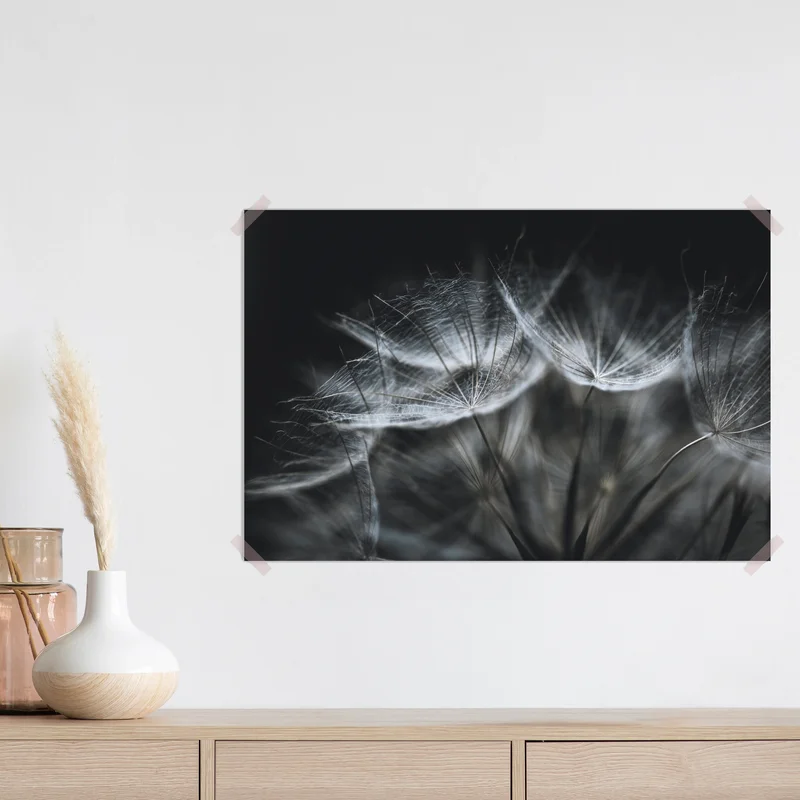 Poster zarte löwenzahnsamen in monochrom Poster zarte löwenzahnsamen in monochrom