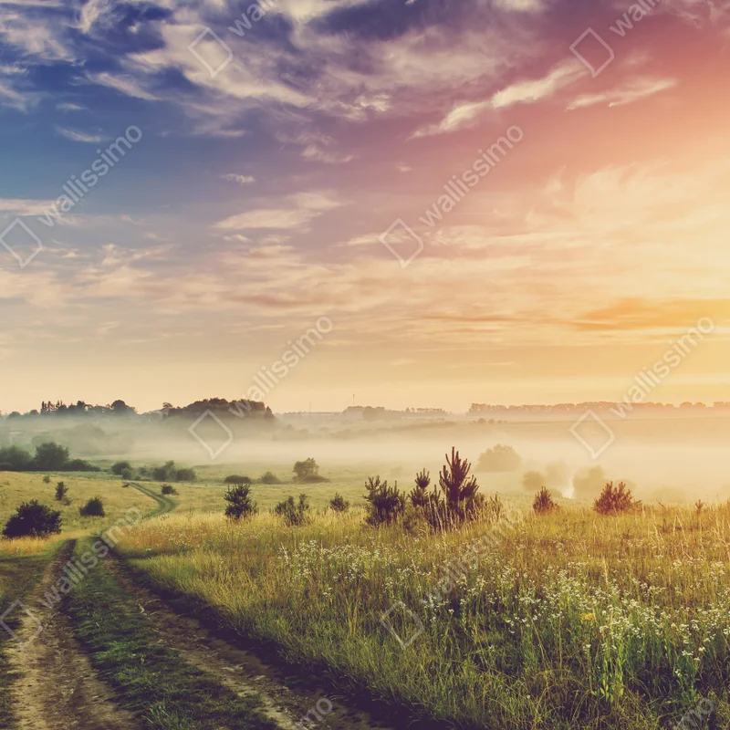 Poster nebeliger sonnenaufgang über einer ländlichen wiese Poster nebeliger sonnenaufgang über einer ländlichen wiese