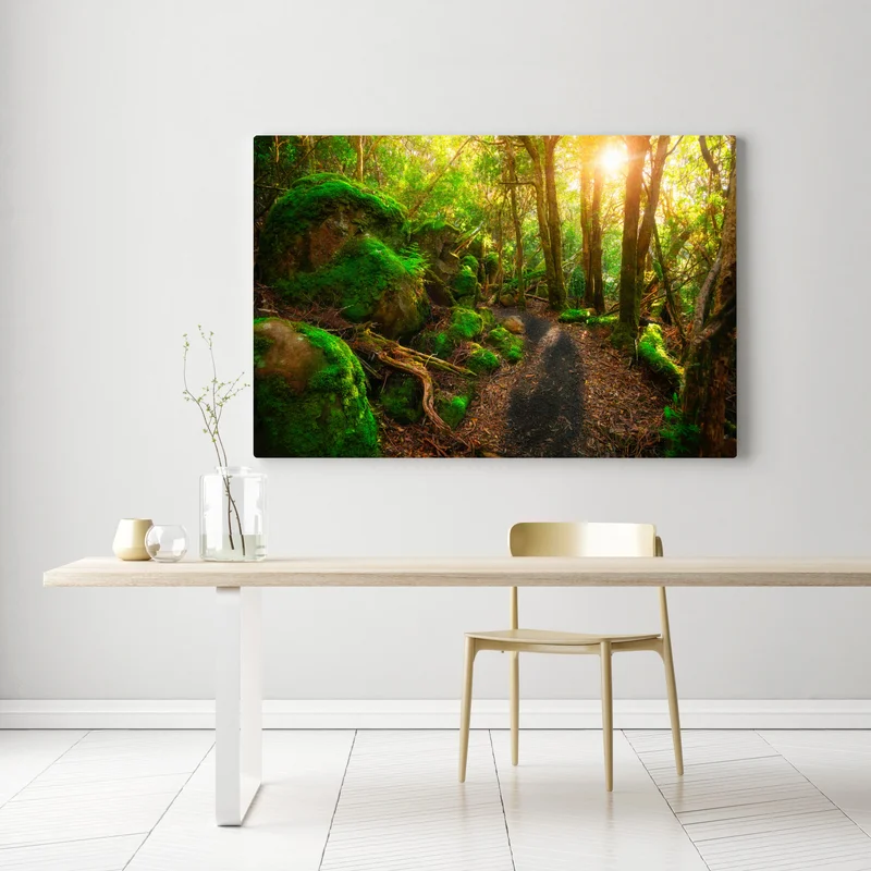 Leinwandbild sonniger pfad im regenwald der Tasman-Halbinsel, Tasmanien Leinwandbild sonniger pfad im regenwald der Tasman-Halbinsel, Tasmanien
