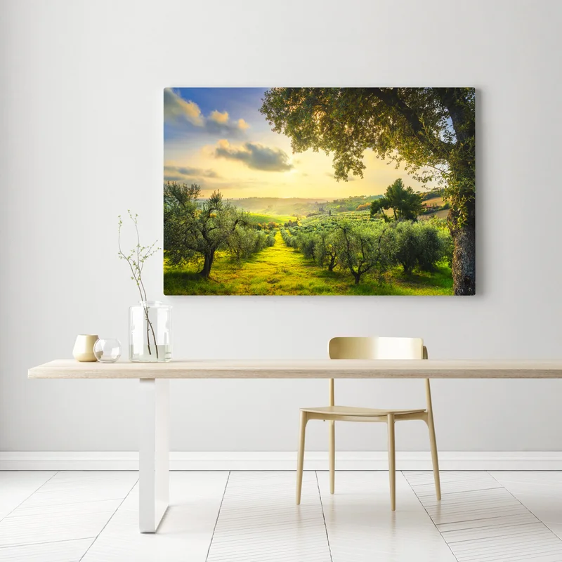 Leinwandbild olivenhain bei sonnenuntergang in Maremma, Toskana Leinwandbild olivenhain bei sonnenuntergang in Maremma, Toskana