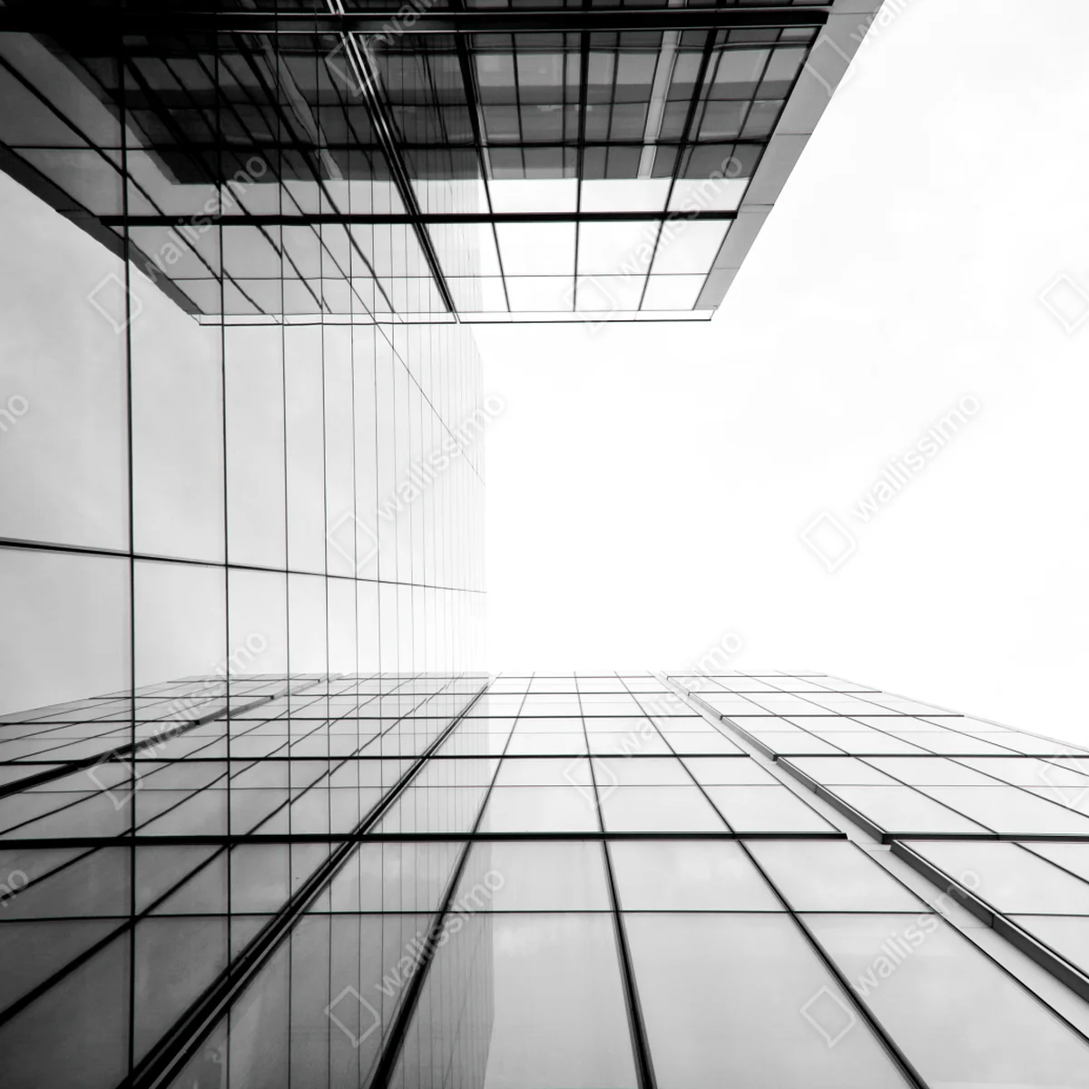 Poster minimalistische glasfassade perspektive Poster minimalistische glasfassade perspektive