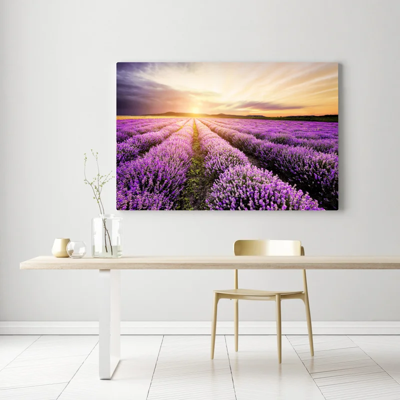 Leinwandbild sonnenaufgang über lavendelfeldern Leinwandbild sonnenaufgang über lavendelfeldern