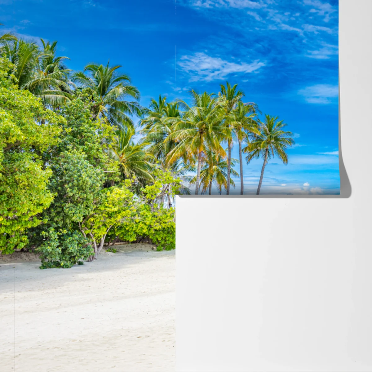 Fototapeta tropikalna plaża z palmami Fototapeta tropikalna plaża z palmami