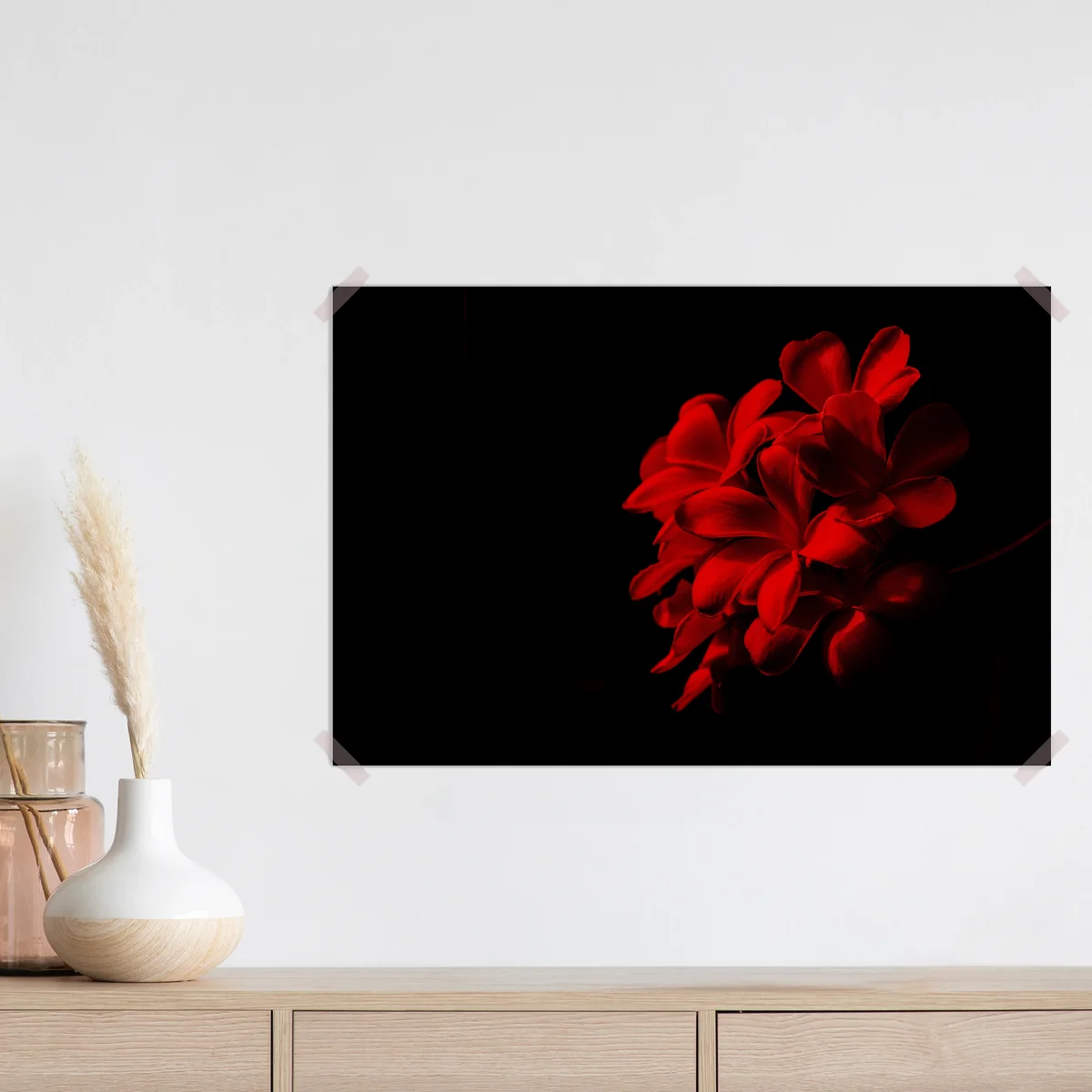Poster rote plumeria auf schwarzem hintergrund Poster rote plumeria auf schwarzem hintergrund